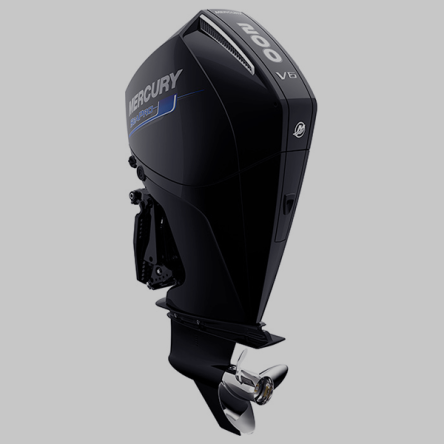 Mercury 200XL SeaPro Commercial DTS 25&quot; Outboard Engine