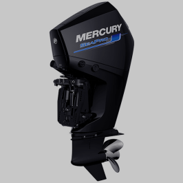 Mercury 200XL SeaPro Commercial DTS 25&quot; Outboard Engine