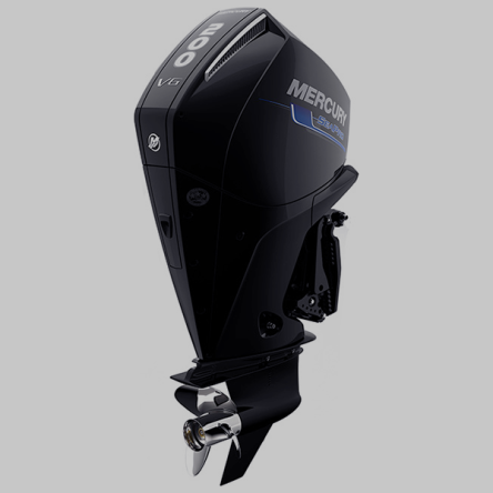 Mercury 200XL SeaPro Commercial DTS 25&quot; Outboard Engine