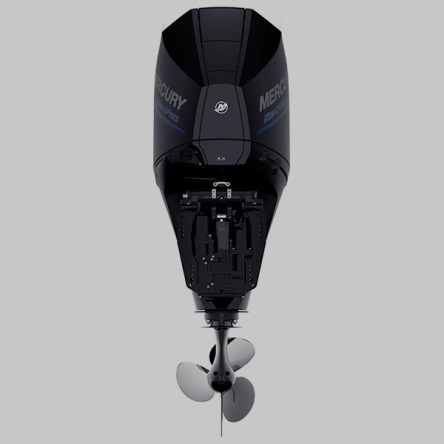 Mercury 200XL SeaPro Commercial DTS 25&quot; Outboard Engine