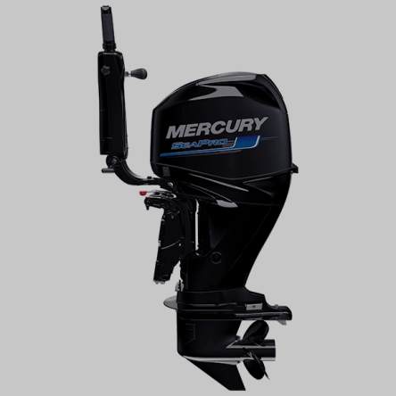 Mercury 60HP SeaPro Command Thrust Tiller 60EXLPT Outboard Engine