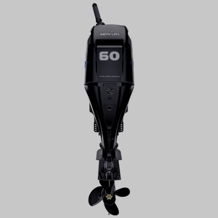 Mercury 60HP SeaPro Command Thrust Tiller 60EXLPT Outboard Engine