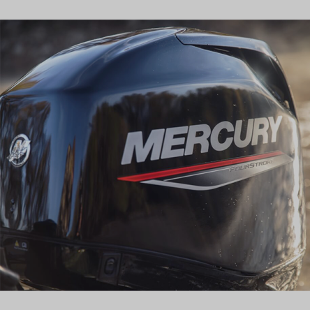 Mercury 35hp 4 Stroke Jet Outboard Engine 35ELPT