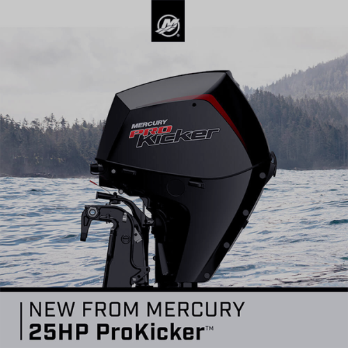 Mercury ProKicker 25hp Four Stroke EFI Outboard Engine 25ELPT